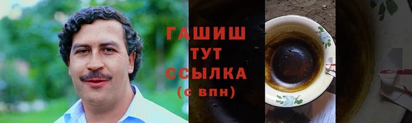 стаф Алзамай
