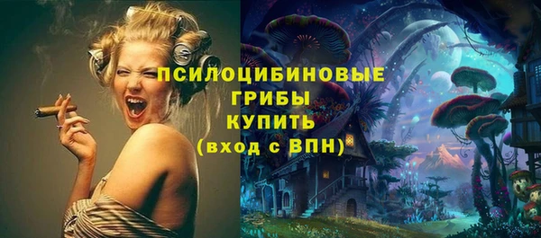 стаф Алзамай