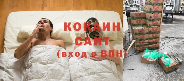 стаф Алзамай