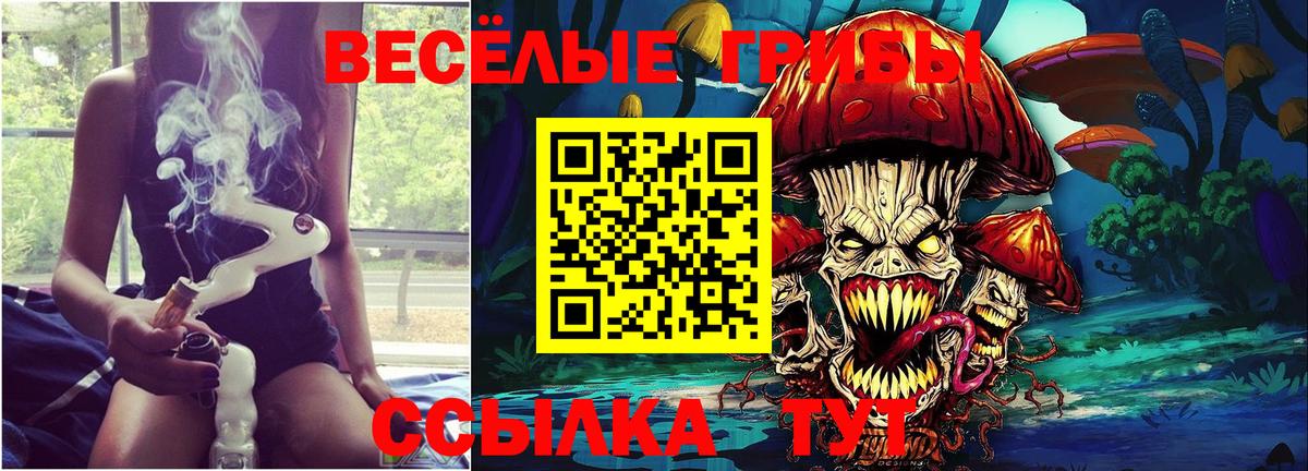 Галлюциногенные грибы MAGIC MUSHROOMS Новомосковск