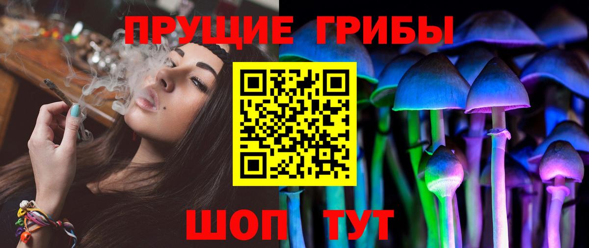 Псилоцибиновые грибы Psilocybe  Вход с VPN  где купить   Новомосковск  Галлюциногенные грибы GOLDEN TEACHER 